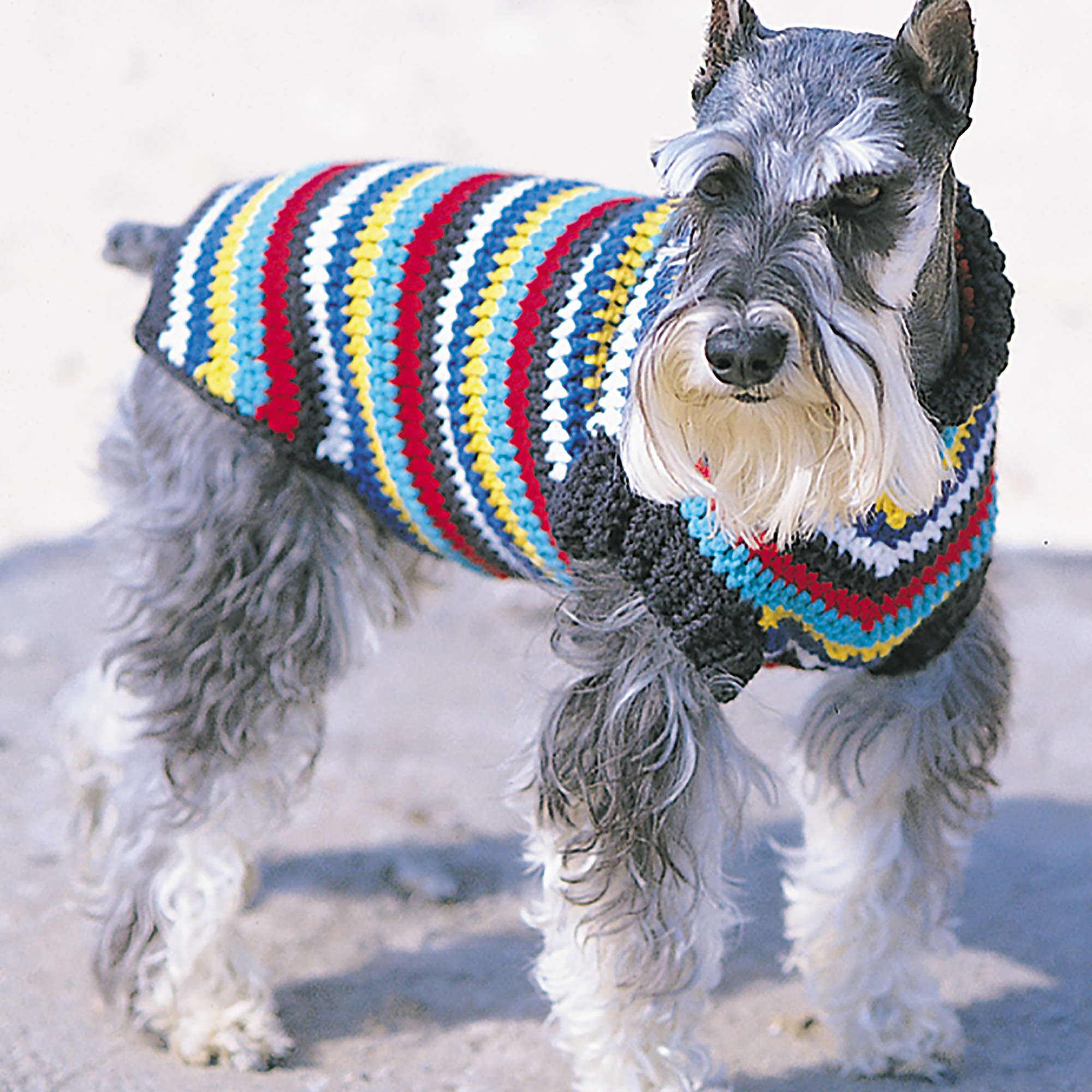Bernat Striped Crochet Dog Coat | Yarnspirations