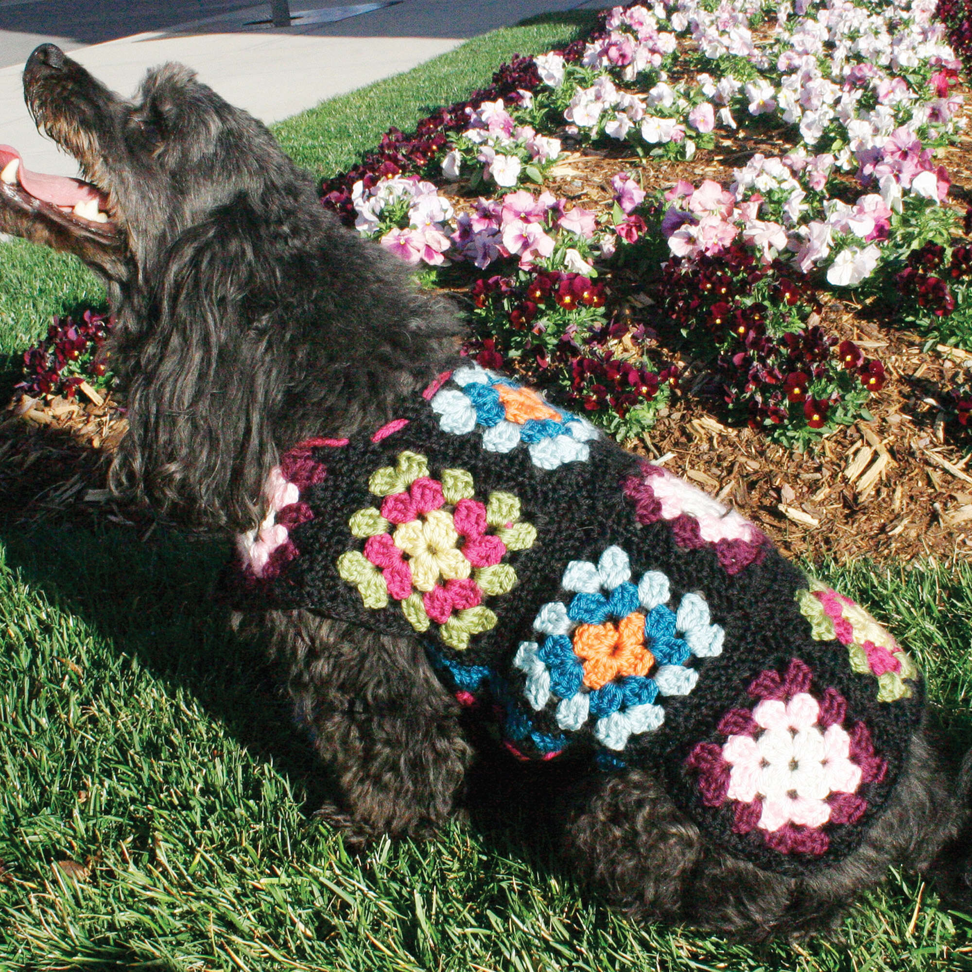 Crochet a Cozy Sweater for your Furry Friend!