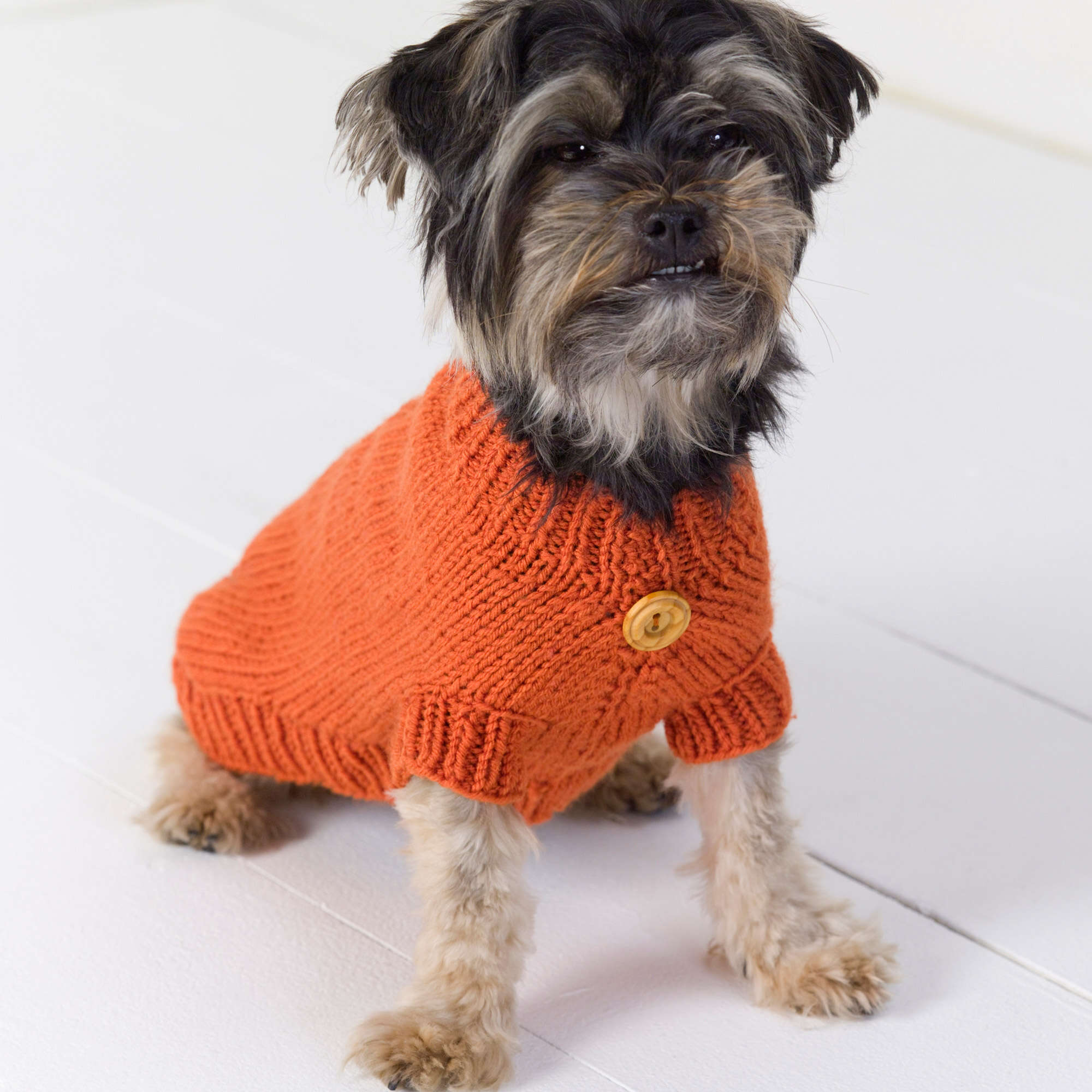 Red Heart Crochet Granny Motif Dog Coat