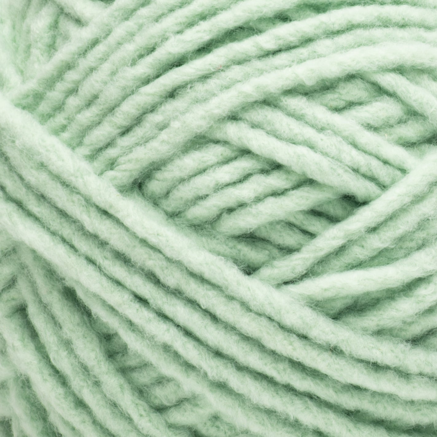 Bernat Forever Fleece Yarn