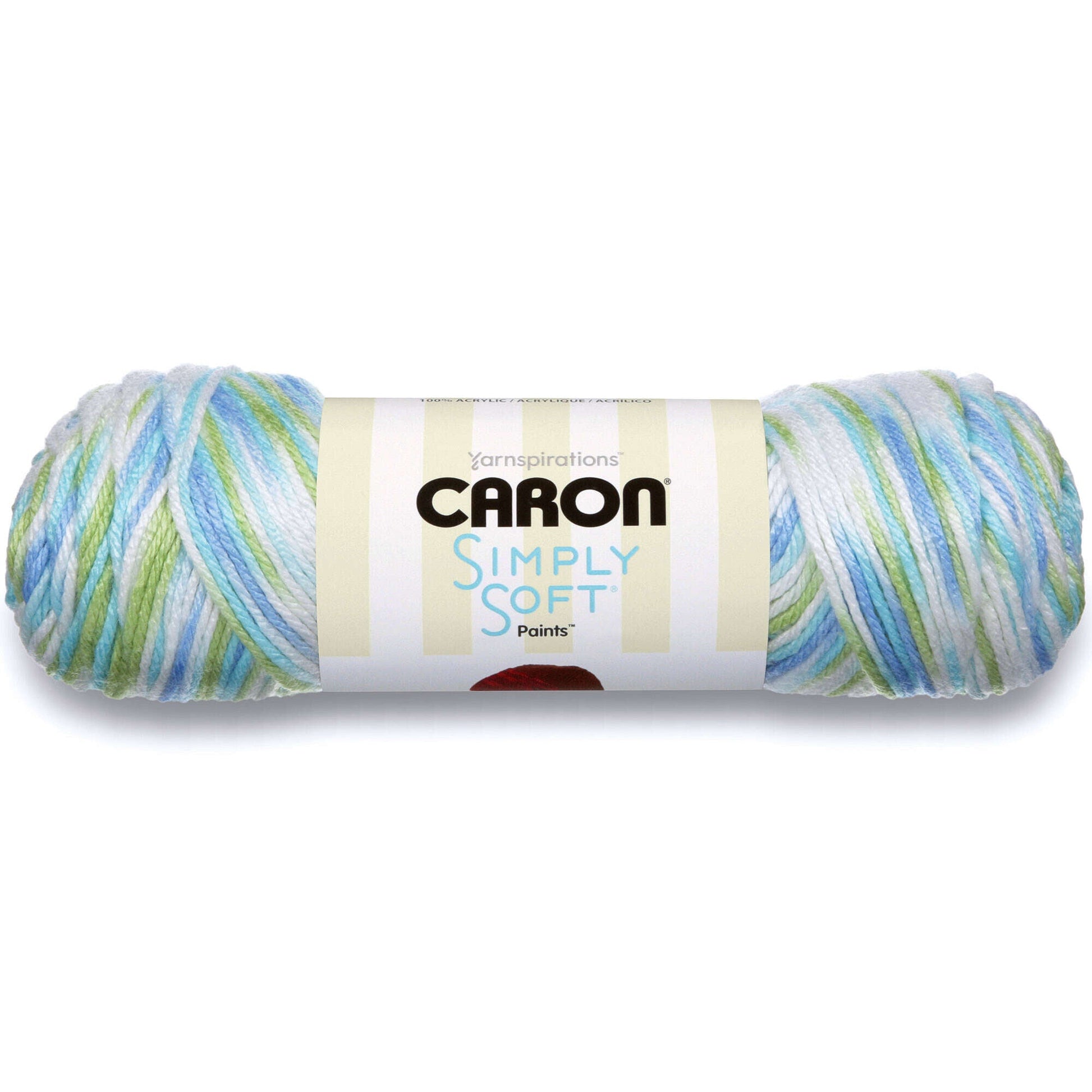 Caron Simply Soft Paints Yarn, Matching Lot of 8