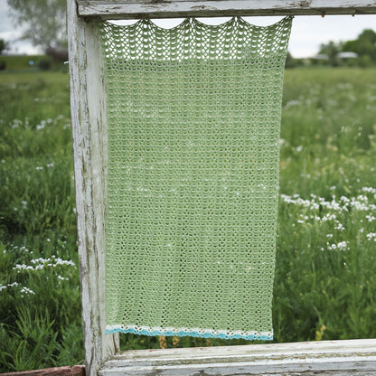 Aunt Lydia’s Crochet Shell Stitch Curtain Panel Crochet Curtain Panel made in Aunt Lydia's Thread