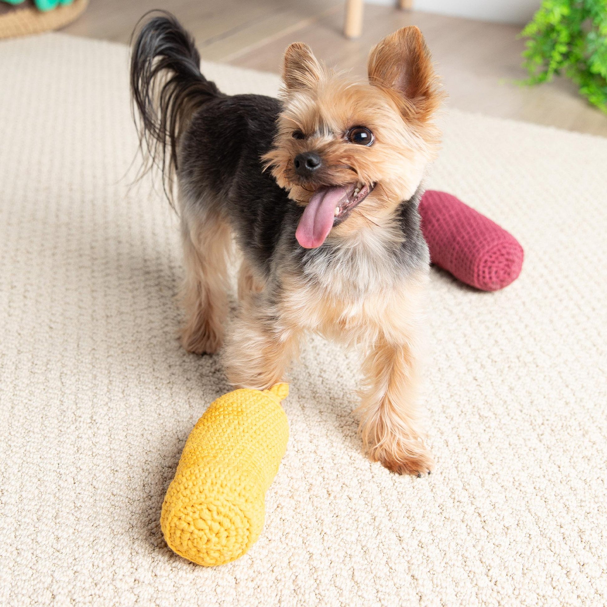 Free Bernat Ketchup & Mustard Crochet Pet Toys Pattern