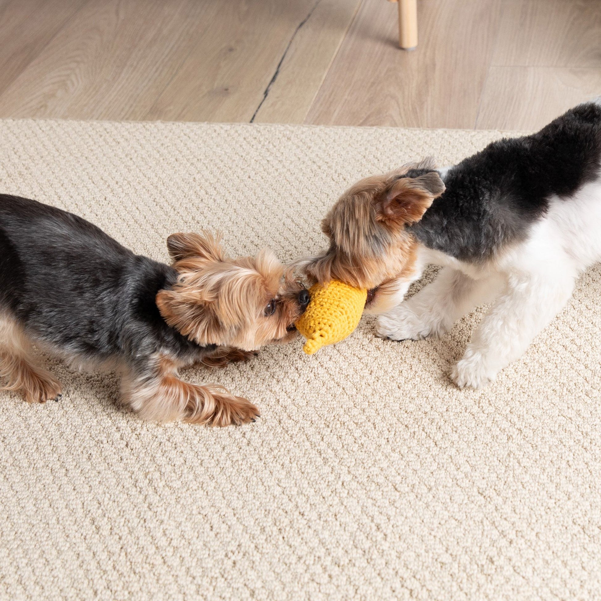 Free Bernat Ketchup & Mustard Crochet Pet Toys Pattern