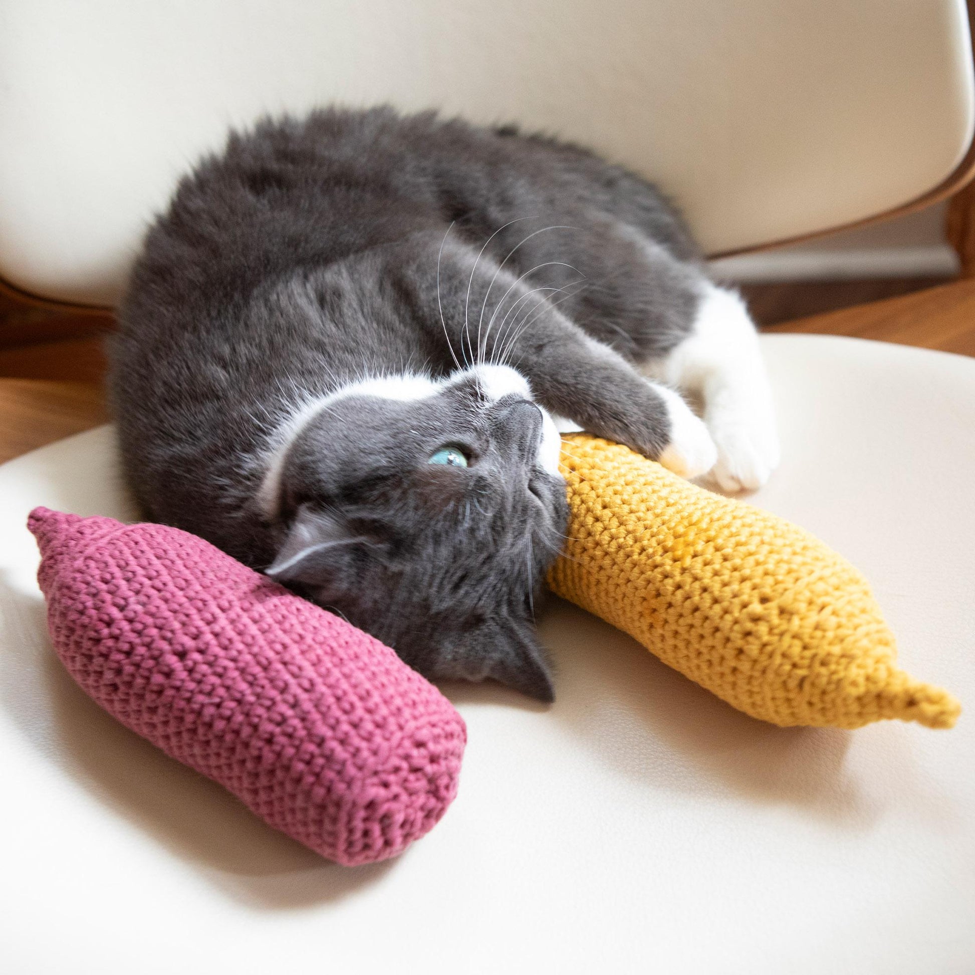 Free Bernat Ketchup & Mustard Crochet Pet Toys Pattern