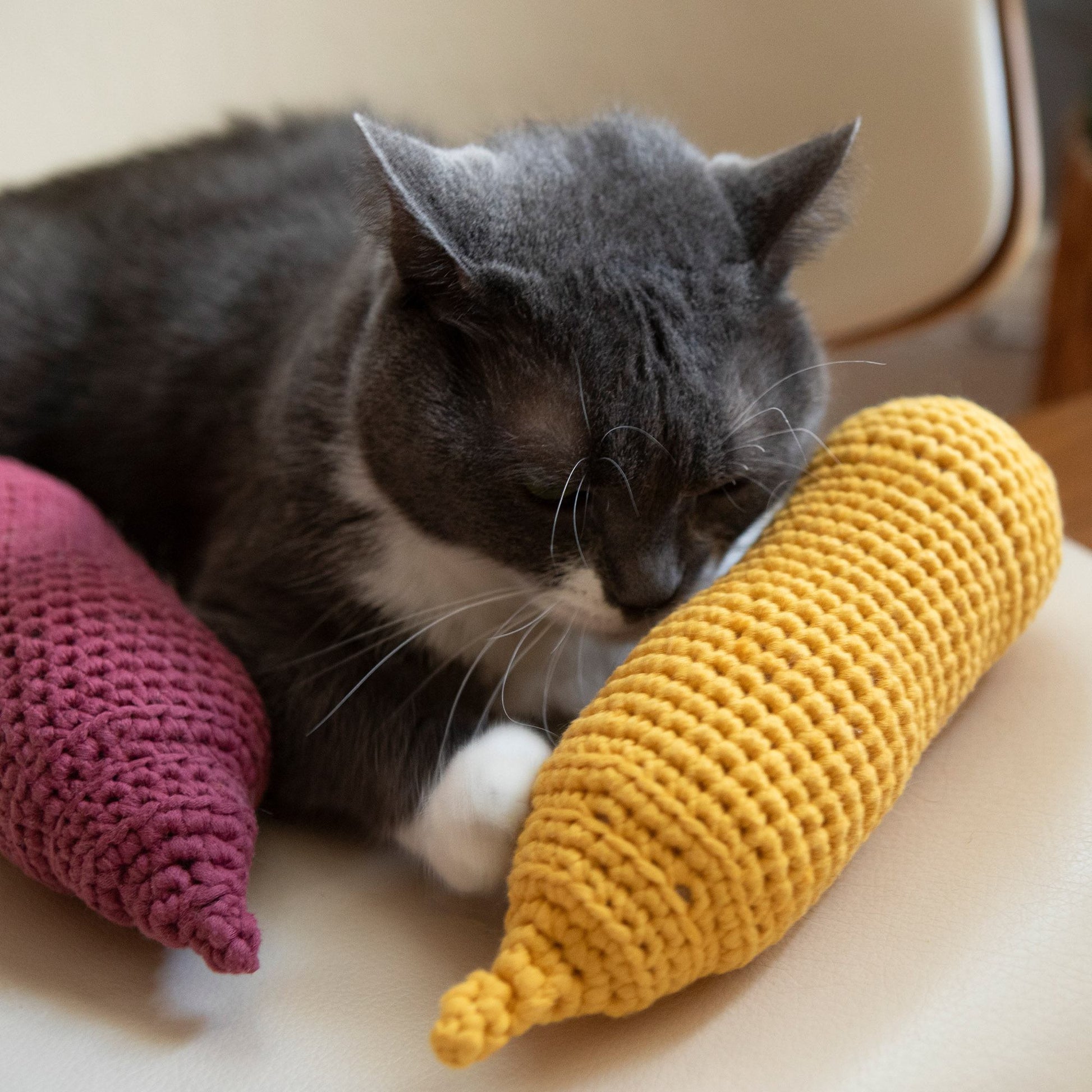 Free Bernat Ketchup & Mustard Crochet Pet Toys Pattern