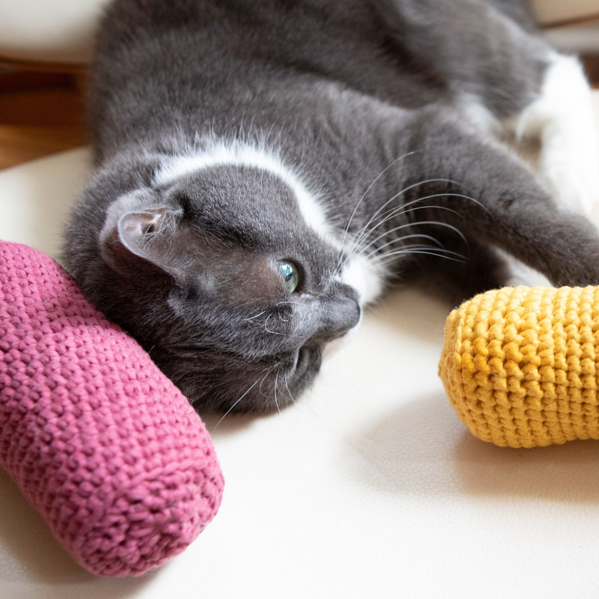 Free Bernat Ketchup & Mustard Crochet Pet Toys Pattern