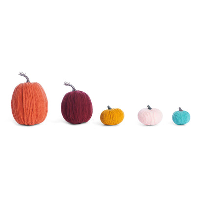 Bernat Craft Yarn Wrapped Pumpkins All Variants