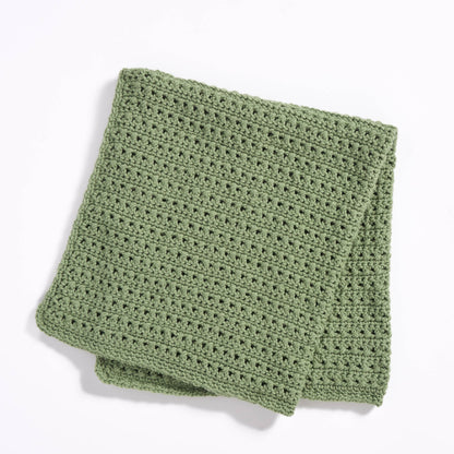 Caron One Skein Crochet Baby Blanket Succulent