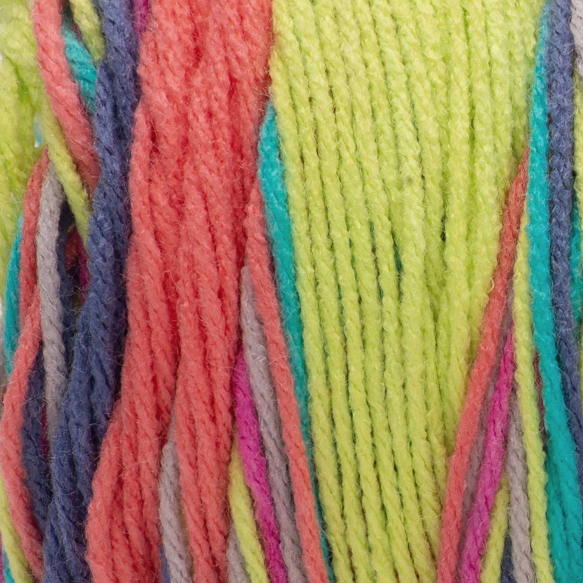 Red Heart Super Saver Color Block Yarn