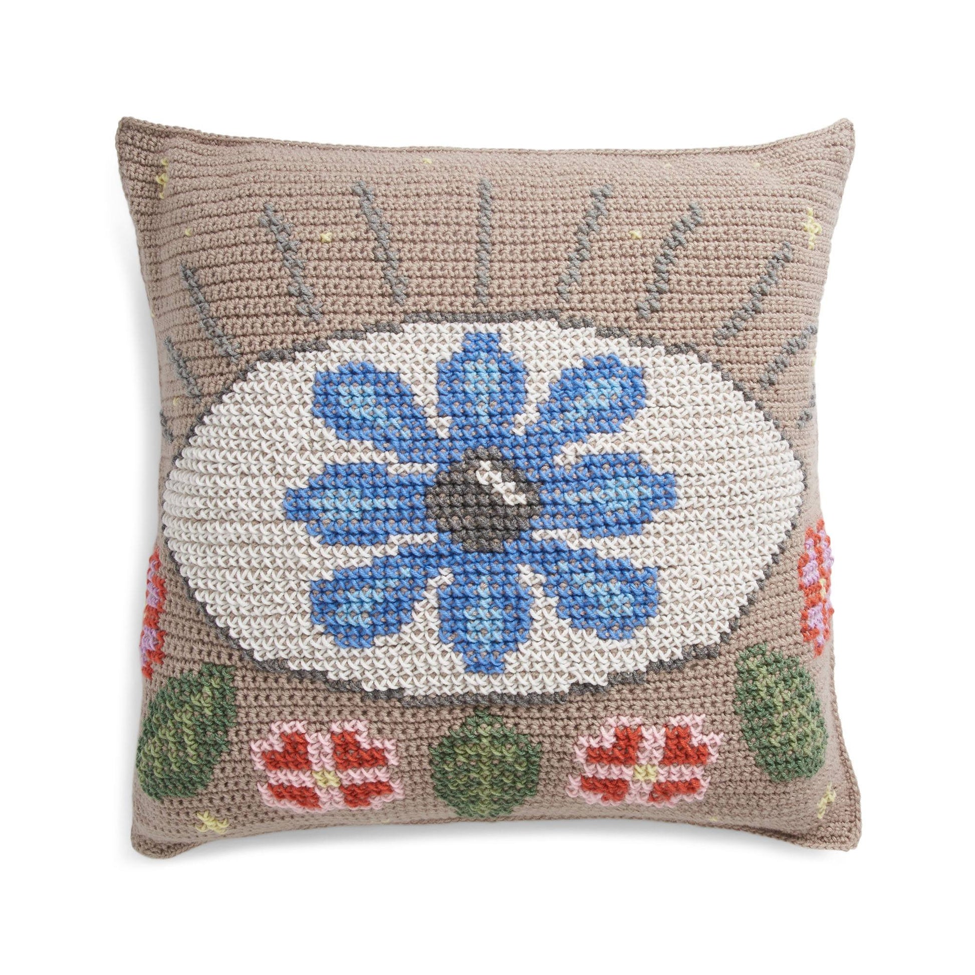 Free Red Heart Eye Am Watching Crochet Pillow Pattern