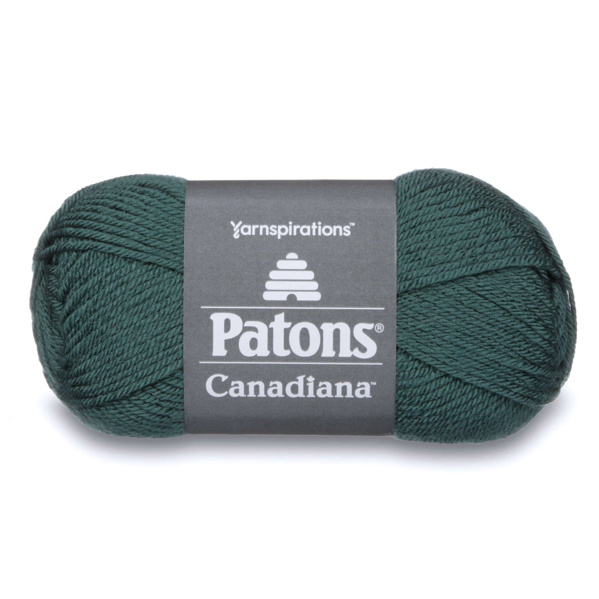 Discontinued Yarn Patons Decor Yarn in Pale Forest Heather Color