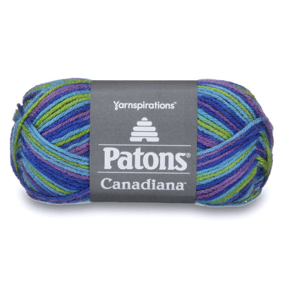 Patons Canadiana Variegates Yarn - Discontinued Shades Happy Camper Variegated