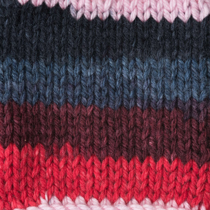 Caron Simply Soft Stripes Yarn - Discontinued Shades