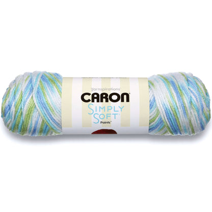 Caron Simply Soft Paints Yarn - Discontinued Shades Funny Boy