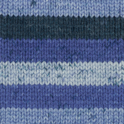 Caron Chunky Cakes Yarn - Discontinued Shades Blueberry Shortbread