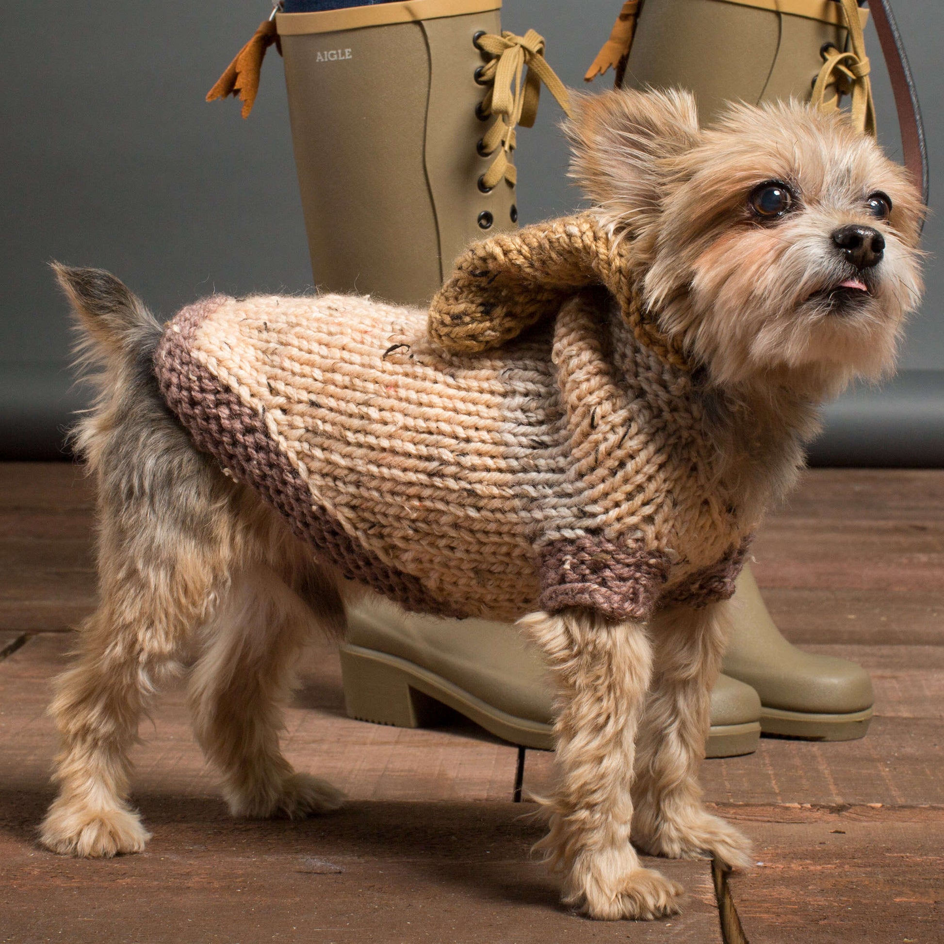 Free Caron Knit Hoodie Dog Coat Pattern | Yarnspirations