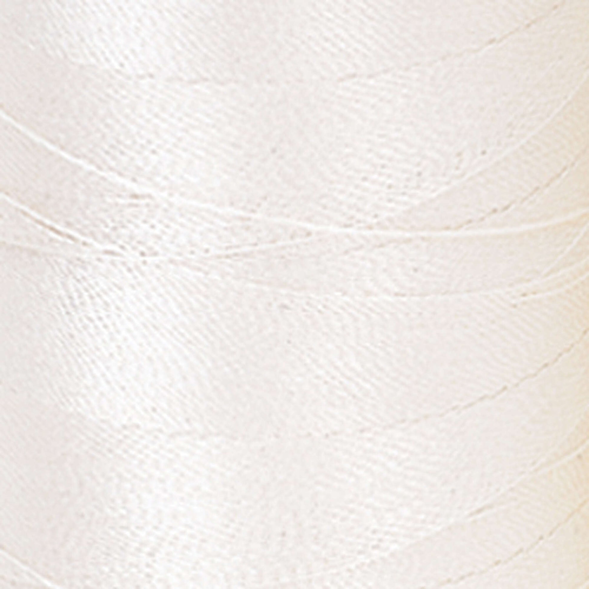 Coats & Clark Trilobal Embroidery Thread 1100 yd Winter White