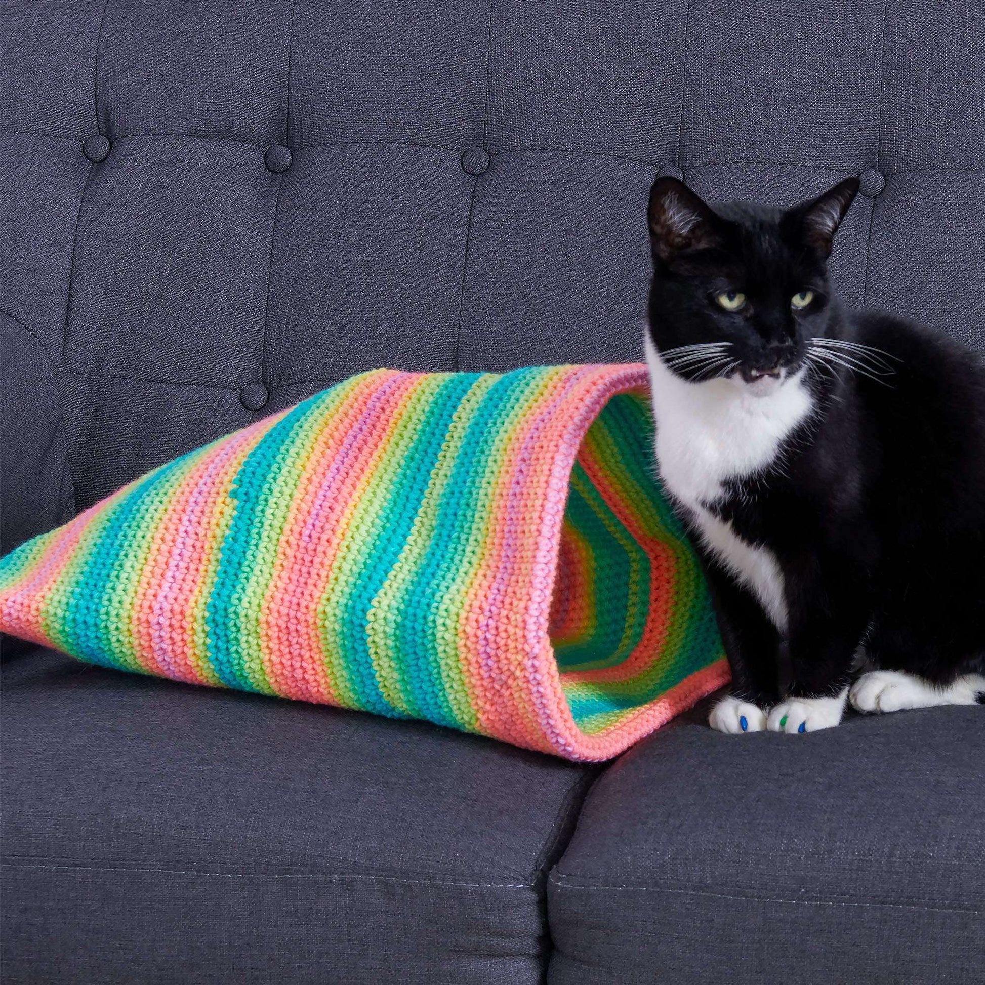 Red Heart Crochet Cat Pouch | Yarnspirations