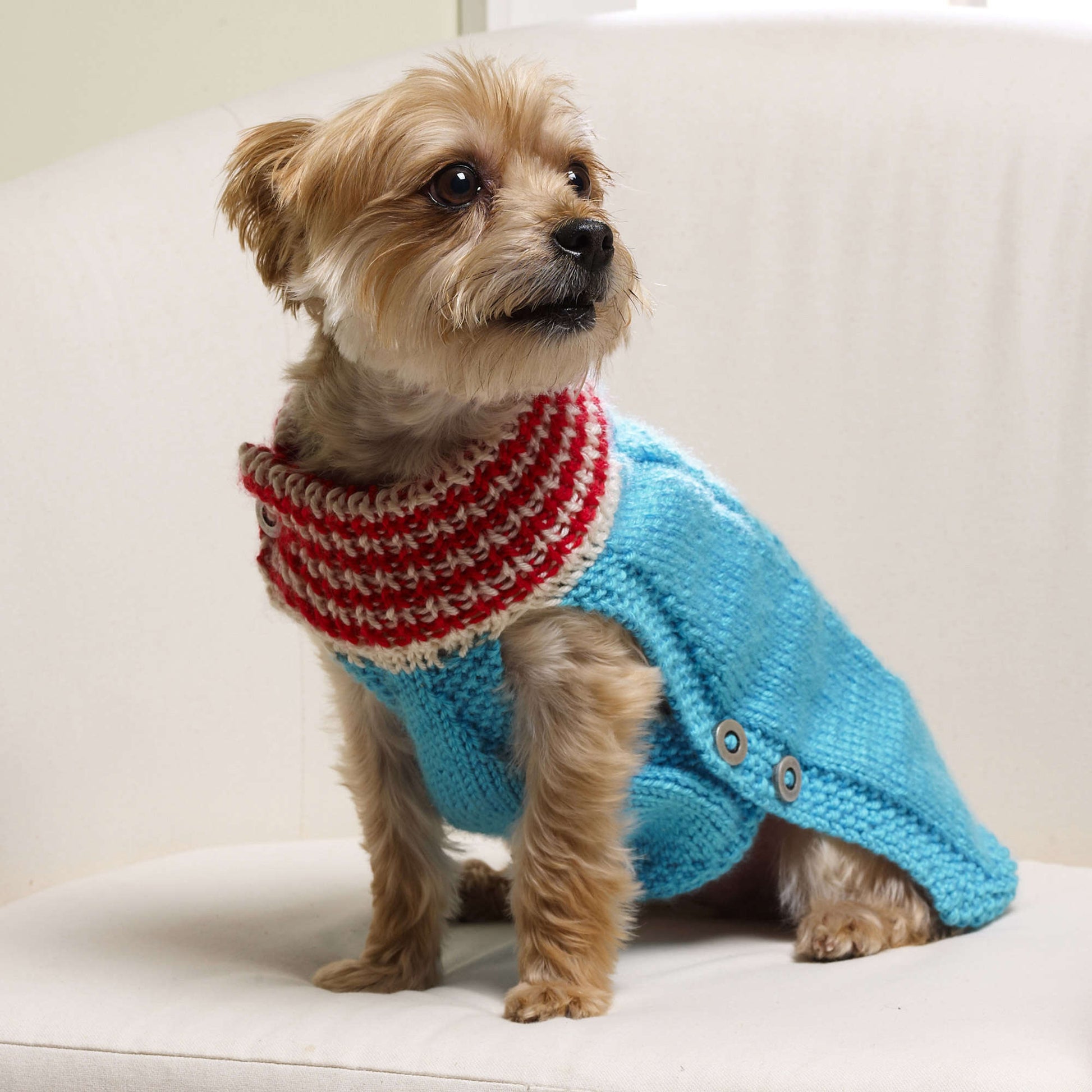 Red Heart Holiday Dog Sweater Pattern | Yarnspirations
